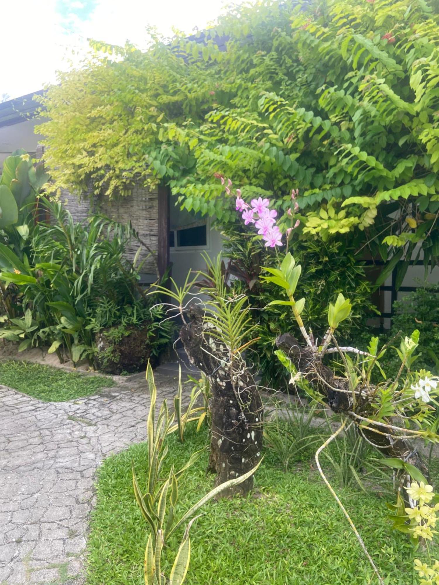 Hotel Vivo Siargao General Luna  Zewnętrze zdjęcie